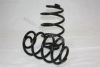 VAUXH 424319 Coil Spring